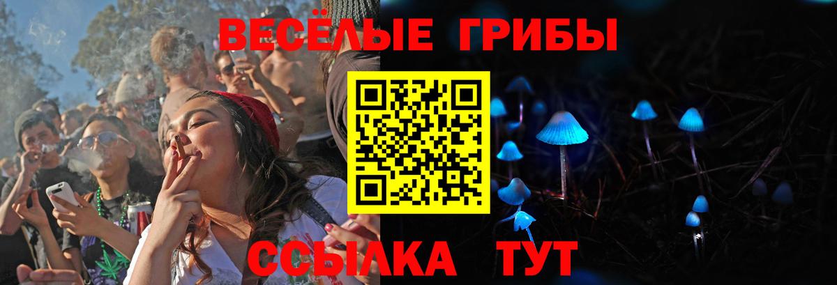 Галлюциногенные грибы GOLDEN TEACHER  Вход с VPN  наркотики  Курчалой 